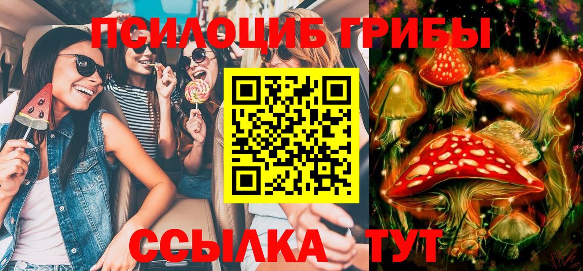 Псилоцибиновые грибы Magic Shrooms Подольск