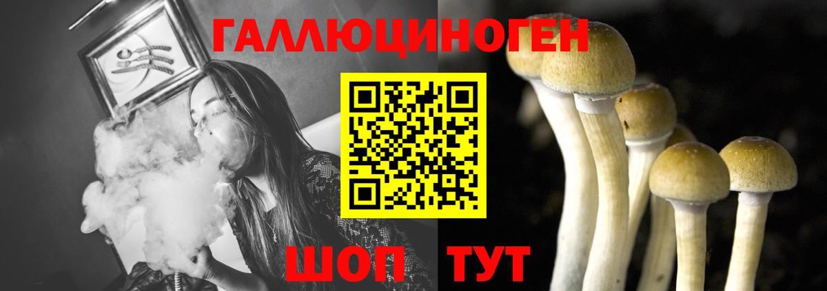Галлюциногенные грибы Cubensis  Псилоцибиновые грибы MAGIC MUSHROOMS  Вход с VPN  Подольск 